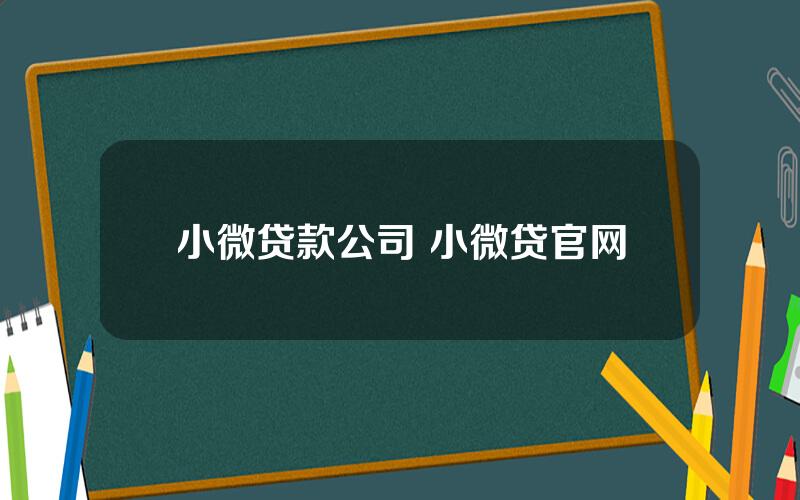 小微贷款公司 小微贷官网